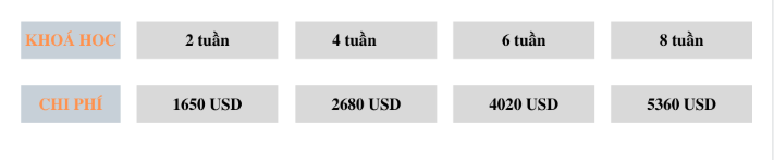 trai-he-anh-ngu-cung-smeag-tro-thanh-cong-dan-toan-cau-2 (2)