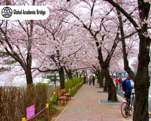 Le hoi xuan o Han Quoc